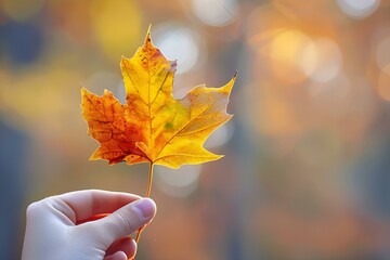 Jesienny liść klonu trzymany w ręce
