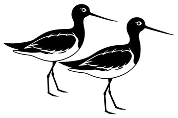 sandpiper bird vector silhouette illustration