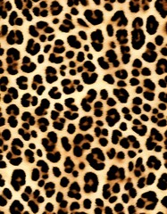 Fototapeta premium Leopard animal background, hairy skin texture
