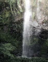 Obraz premium Scenic view of the Anse waterfalls in Sainte-Rose, Reunion.