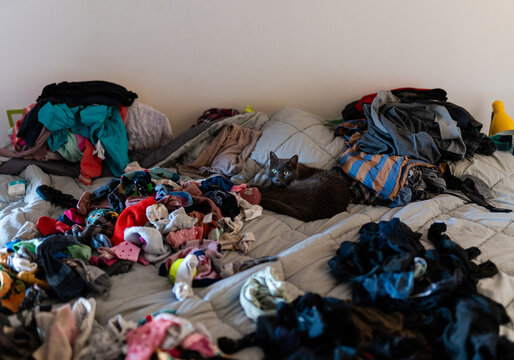 Cat Hiding Among Bedroom Laundry Mess. UGC