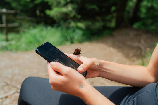 Butterfly sits on the woman's hand while she uses smartphone outdoor