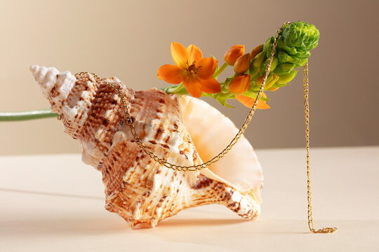 Floral and seashell