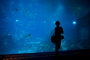 Visitor Observes Aquarium Life Under Blue Light