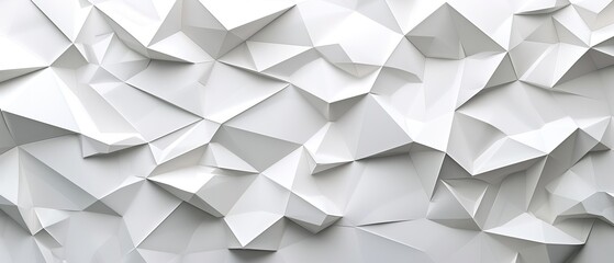 Obraz premium Abstract white Geometric banner design background.