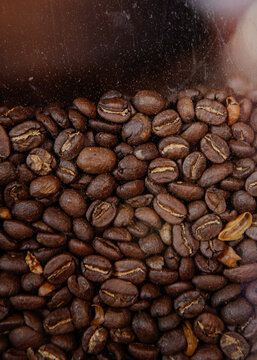 Roasted Coffee Beans Close-Up