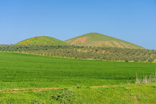 Majestic Tomb of Alyattes T&uuml;m&uuml;l&uuml;s&uuml;: Ancient Burial Mound of Bin Tepe, Sardis in Turkey's Historic Lydian and Achaemenid Landscape