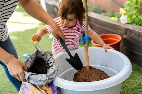 Child planting tree with adult supervision