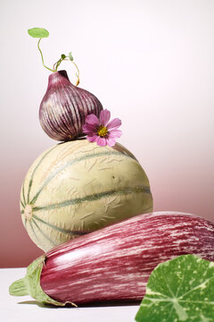still life with eggplant, melon, flowers and garlic