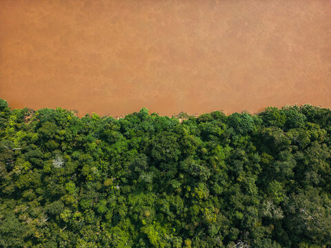 Amazon Rainforest and River