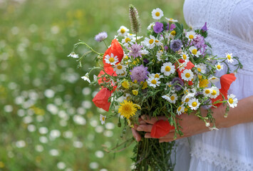 Young caucasian woman in white dress holds wild flowers bouquet on blurred floral background, copy...