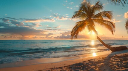 Palm Tree on Sandy Beach