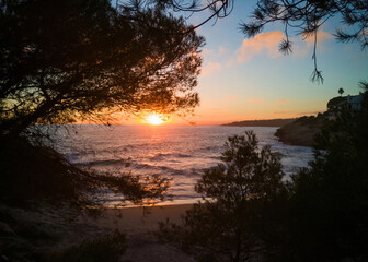 Beautiful sunset on small beach or sea creek framed between pines
