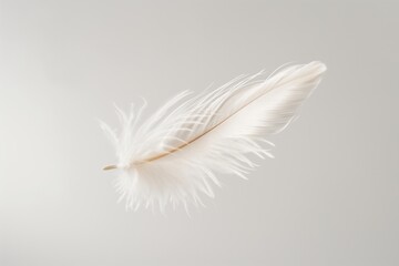 Obraz premium Solitary white feather drifts gracefully in mid-air against a clean, soft grey backdrop, embodying lightness, purity, and a tranquil simplicity in this ethereal minimalist composition