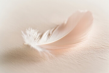 Soft, delicate white feather lies gently on a textured beige surface, evoking a sense of peace and lightness with its ethereal appearance and gentle shadows