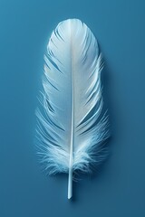 A single white feather against a vibrant blue background. The feather's delicate texture and soft light create a sense of tranquility.