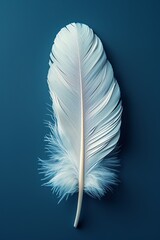 A single white feather isolated on a blue background.