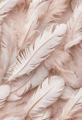 Pastel soft feathers as pattern texture background