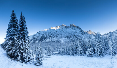 Snowy mountain scenery