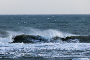 Ocean waves near the shore