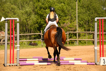 Equestrian sports.The jump, shooting from the back. Jockey riding a fast thoroughbred horse