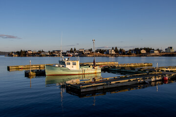 boats in the harbor