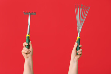 Female hands with gardening rakes on red background, closeup
