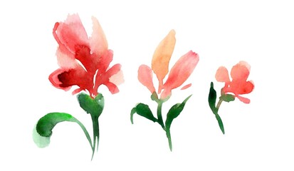 A delicate watercolor illustration set of soft red flowers, resembling a child's drawing, on a white background