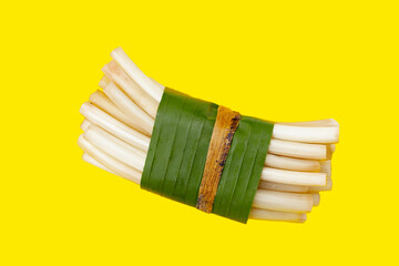 Fresh lotus rootlet on yellow background.