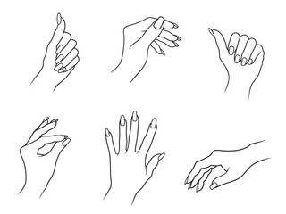 Vector illustration of outline set of various female palm of hand with nails, isolated, on white background.