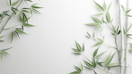 abstract white bamboo wall background space your text. stalk, branch and bamboo leaves. Nature backdrop white design