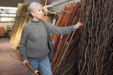Interested senior woman looking for natural wooden twigs to create decorative arrangements in home...