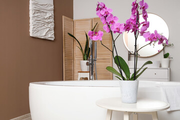 Orchid flower on table near bathtub in room