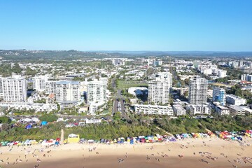 Maroochydore Cotton Tree