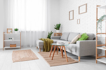 Interior of modern living room with comfortable sofa, houseplant, coffee table and shelving unit