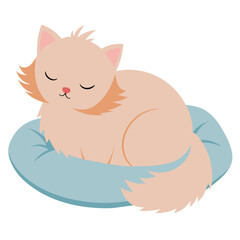 Fluffy cat sleeping on a pillow, white background