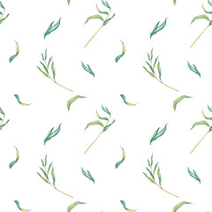 Watercolor seamless pattern fresh foliage weeping willow tree. Nature landscape, simple tree branches with green leaves isolated on white. Hand drawn botanical illustration green tones © Irina