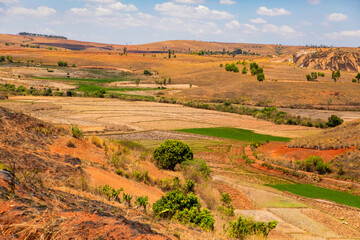 Typical Madagascar landscape rice terrace fields