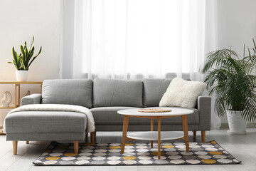 Interior of modern living room with grey sofa, carpet and coffee table
