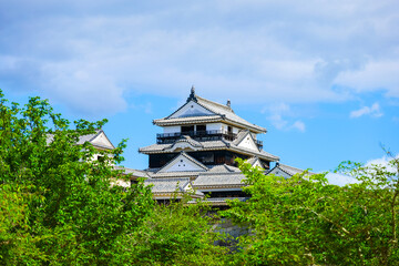 Fototapeta premium 松山城 愛媛県観光