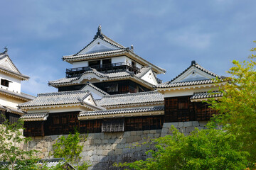 松山城 愛媛県観光