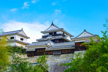 松山城 愛媛県観光 © beeboys