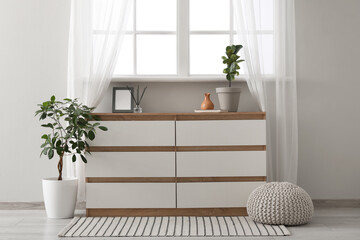 Interior of modern room with houseplant, window and chest of drawers