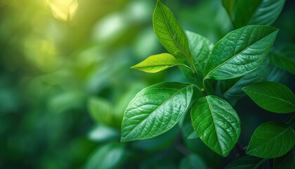 Fototapeta premium A detailed photo capturing a plant with vibrant green leaves growing on a tree branch