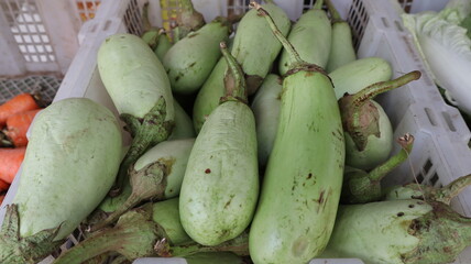 Green eggplant in the market