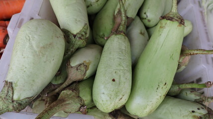 Green eggplant in the market