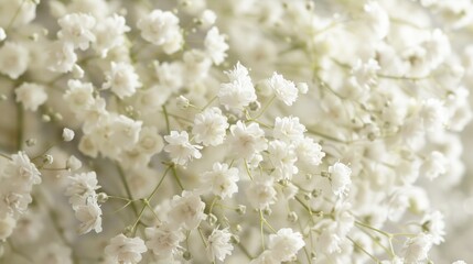 white flowers adding a touch of elegance and sophistication to any bouquet.