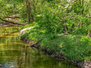 Poznań, the Cybina River valley, Olszak, a bend of the river surrounded by lush vegetation and trees