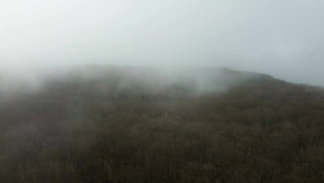 Pictured Rocks National Lake shore static drone shot of fog over dead trees 