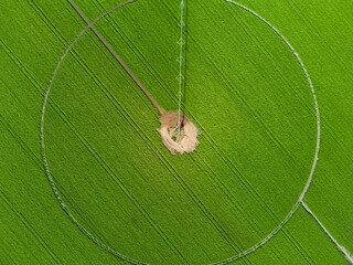 Soybean plantation, circular field with automated irrigation equipment.